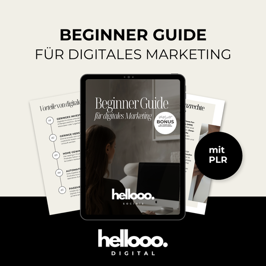 BEGINNER GUIDE für Digitales Marketing - als Freebie  | PLR & MRR