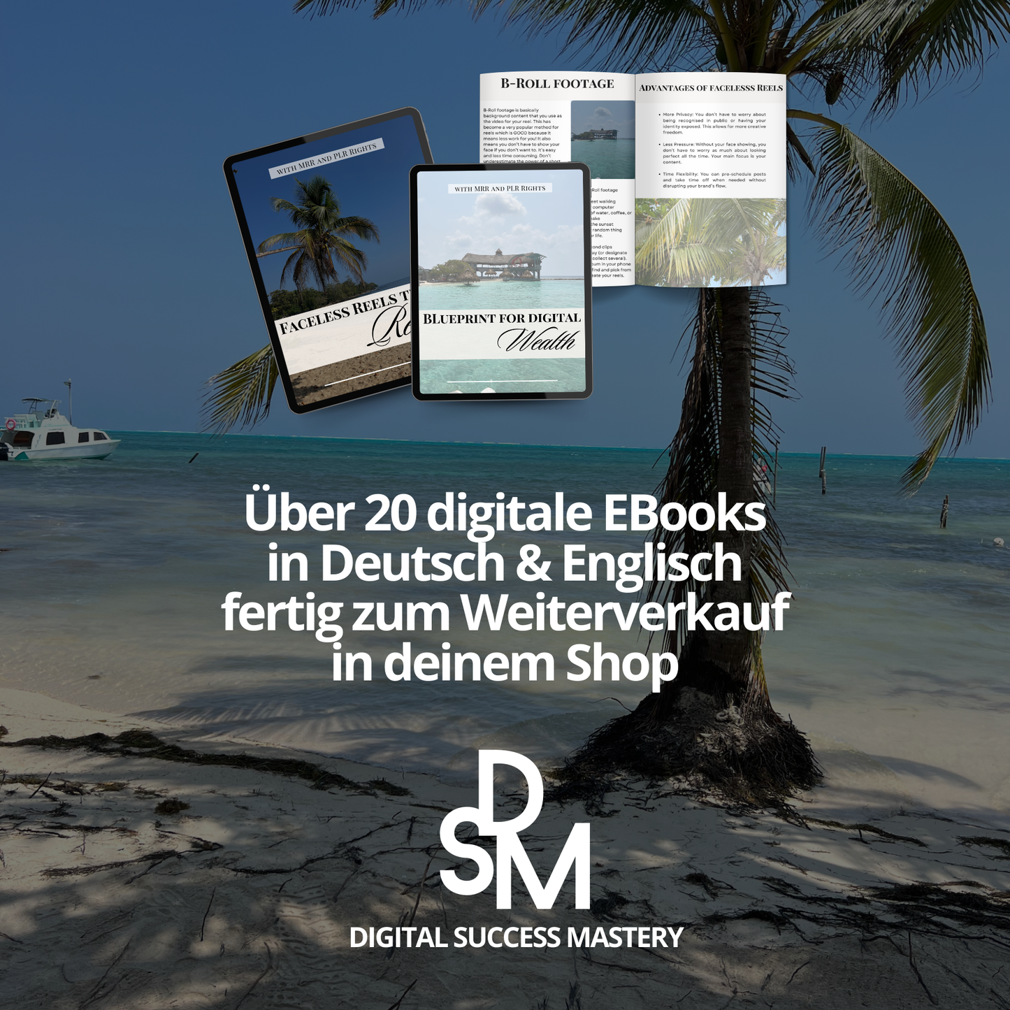 DIGITAL SUCCESS MASTERY - DSM - Digitale Produkte Kurs  | MRR