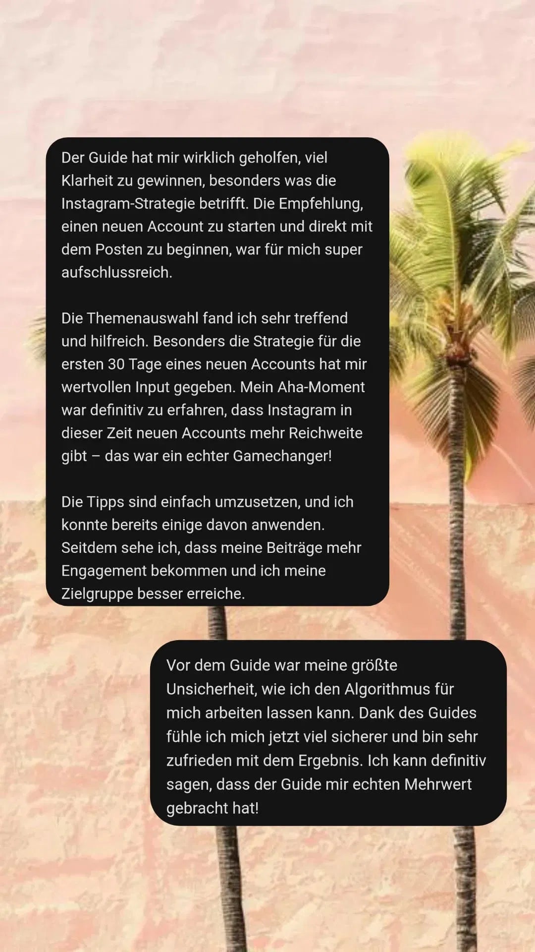 DIE INSTAGRAM STARTER STRATEGIE | MRR