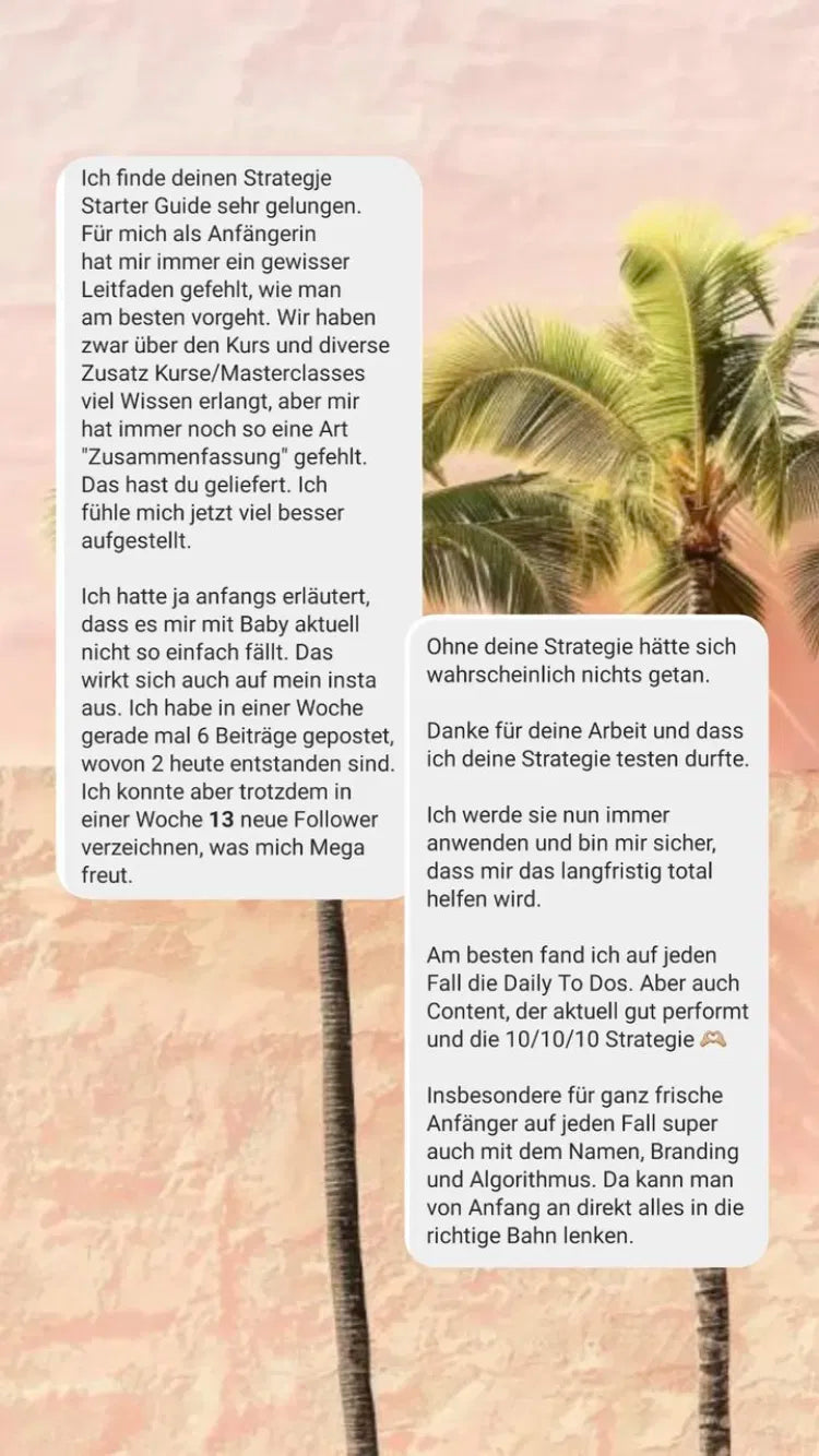 DIE INSTAGRAM STARTER STRATEGIE | MRR